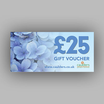 £25 Gift Voucher