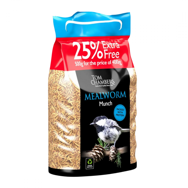 Mealworm Munch