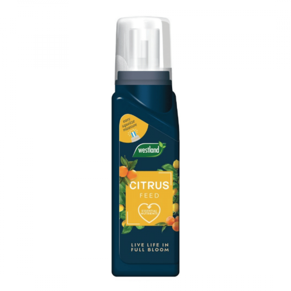 Citrus Feed Concentrate 200ml