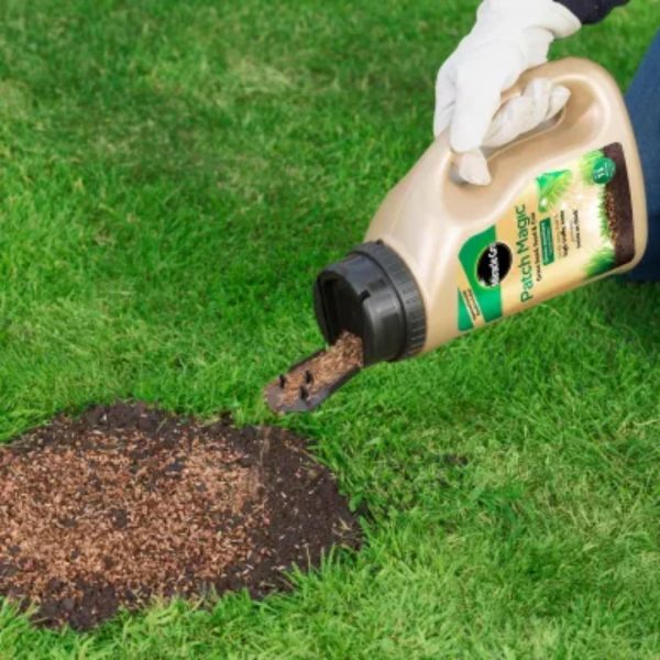 Miracle-Gro Patch Magic Jug 1015g - Image 2