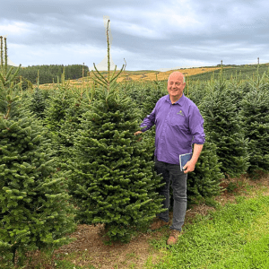 Fraser Fir Real Christmas Tree