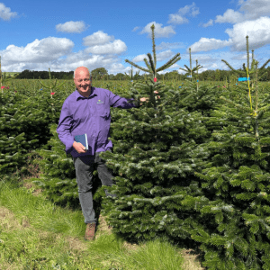Nordman Fir Real Christmas Tree