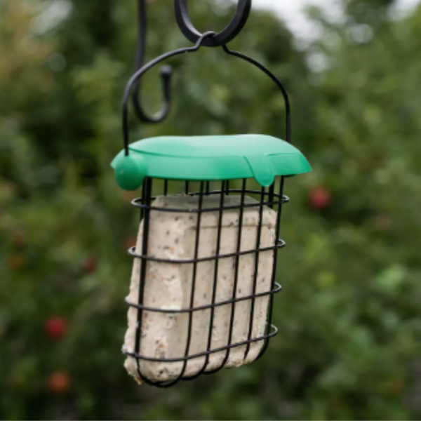 Gardman Flip Top Suet Feast Feeder - Image 2
