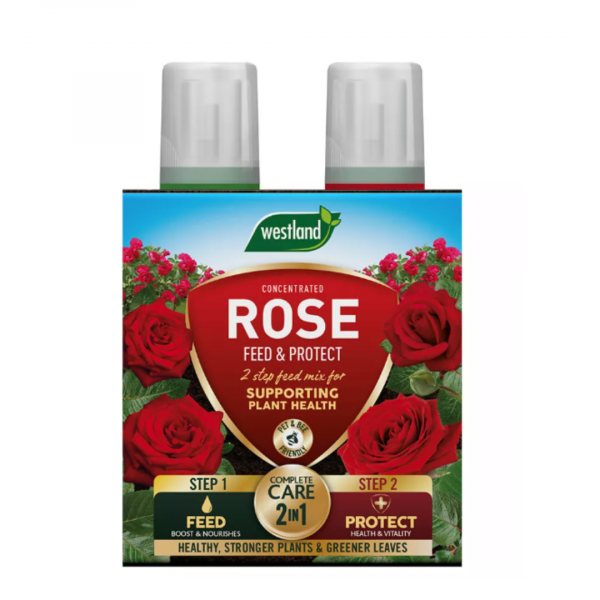 Rose 2 in 1 Feed & Protect