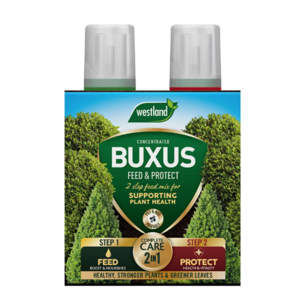 Buxus 2 in 1 Feed & Protect