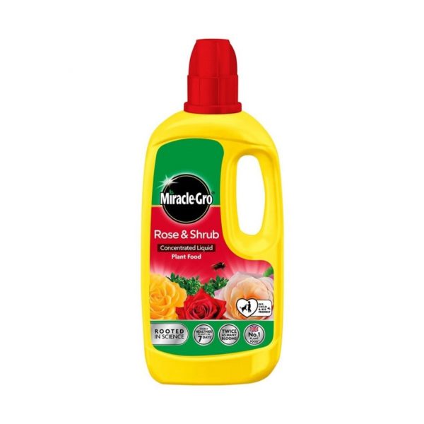 Miracle-Gro Rose & Shrub Concentrate 800ml