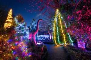 HETLAND DINO PARK - Illuminated Walkway