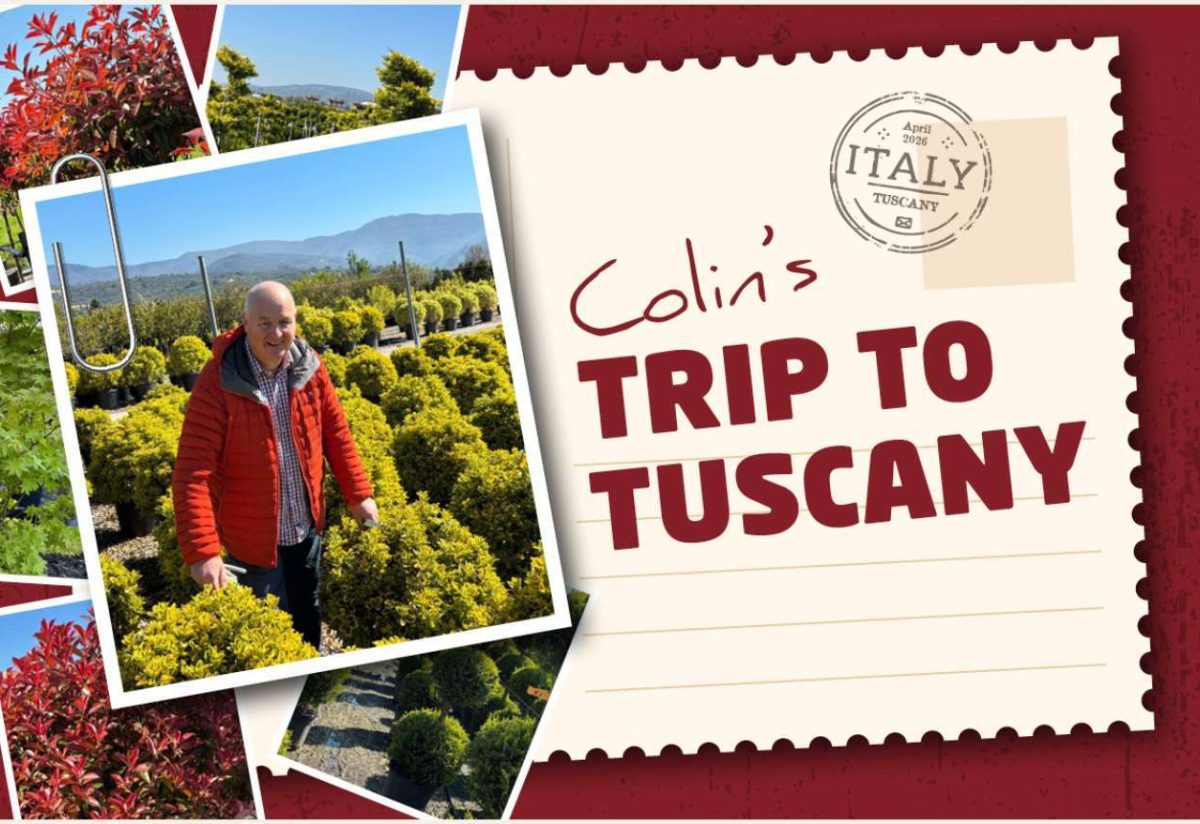 Plant of the Week (3)