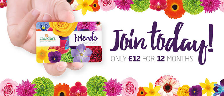 friend-card-collateral-slider friend-card-collateral-slider