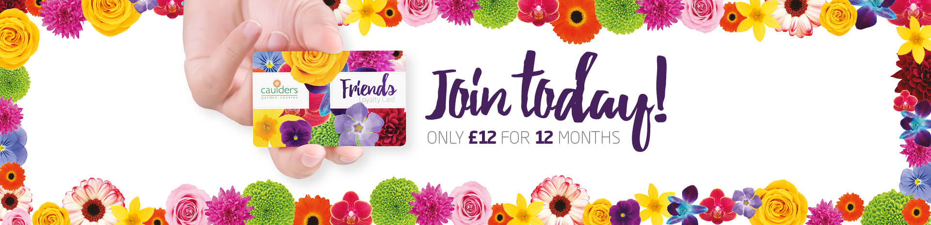 friend-card-collateral-slider friend-card-collateral-slider