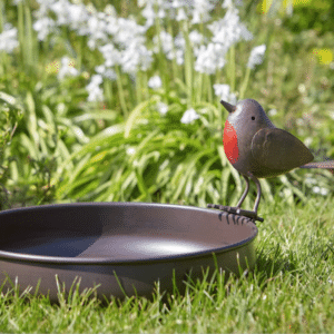 Robin Redbreast- Ground Birdbath