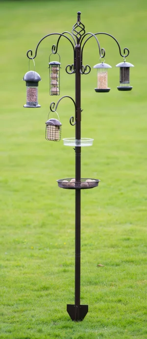 Royale Bird Station